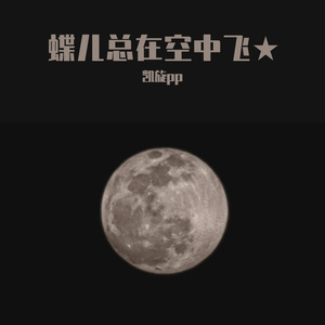 蝶儿总在空中飞～凯旋pp