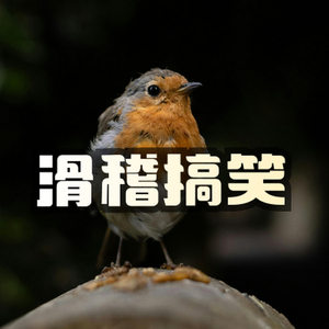 滑稽搞笑的管弦乐