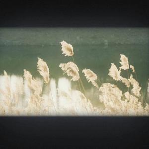 完美女孩（盛夏）