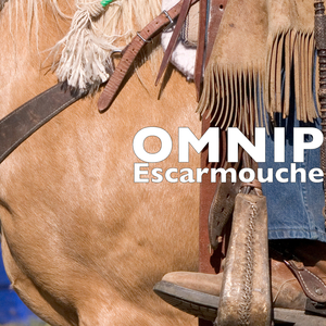 Escarmouche