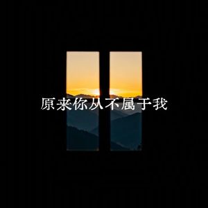 原来你从不属于我