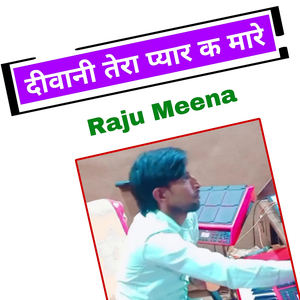 दीवानी तेरा प्यार क मारे