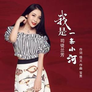 我是一条小河 (DJ版)