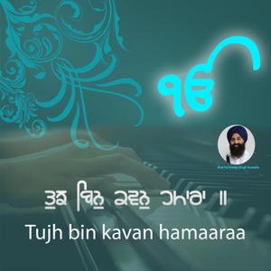 Tujh Bin Kavan Hamara