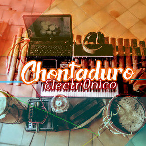 Chontaduro Electronico