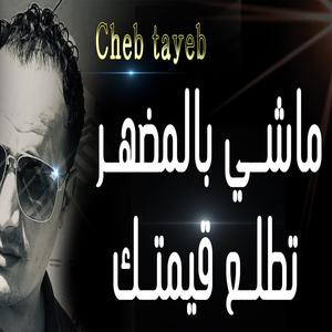 tale3 hsabatek