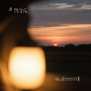 用心爱你你不懂