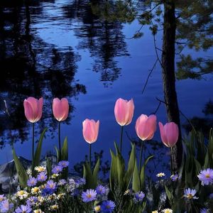 誓言是一场有时差的雨