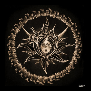 Бесхребетное солнце