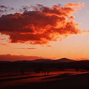 向山野 (Cover 谭维维)