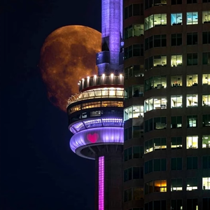 碎抹布 [prod. frozy x twontwon]