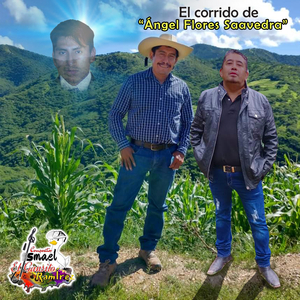 El corrido de "Ángel Flores Saavedra"