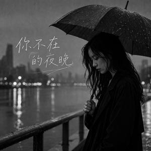 你不在的夜晚