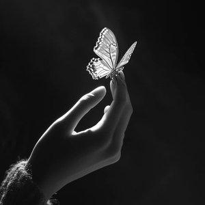 잿빛 기억 (灰色记忆)