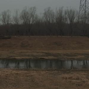 双重现实（Prod.by Morrow）