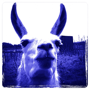 Llama (Original Mix)