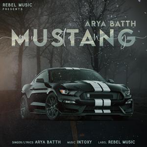 Mustang (feat. Intoxy)