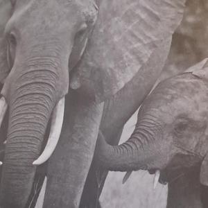 Psychopathic (thugamaniacs)