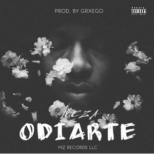 Odiarte