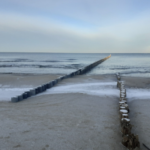 Night Chat About Stars