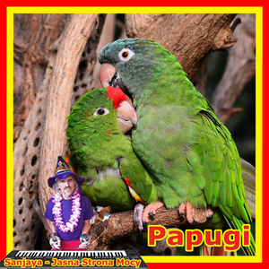 Papugi