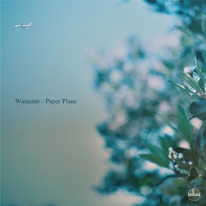 Paper Plane
