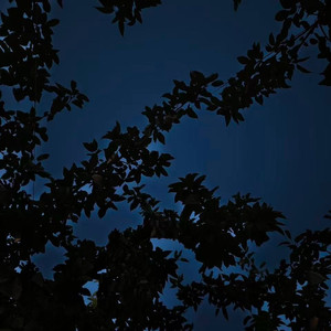 黑夜