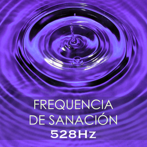 Flexibilidad
