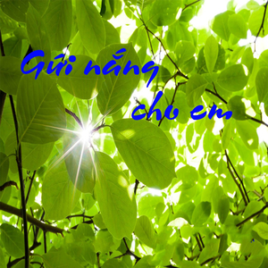 Bèo dạt mây trôi
