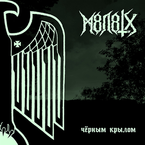 Где ветви опавшей листвой