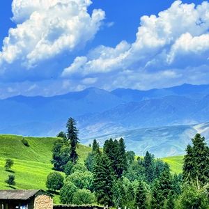 我想留在你心里