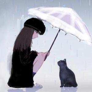 她和小猫咪的故事