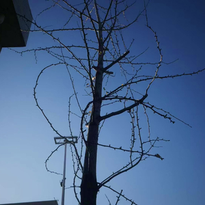 放开你，与自己重逢