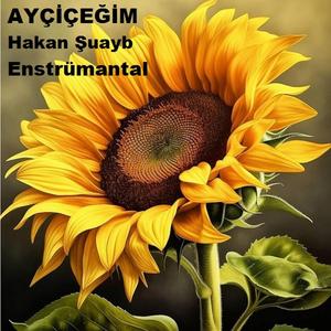 Ayçiçeğim - Enstrümantal