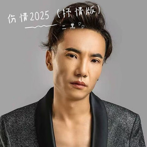 伤情2025 (抒情版伴奏)