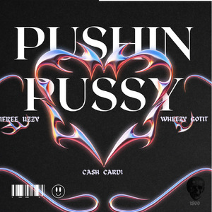 Pushin Pussy