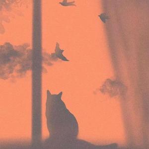 留白（Cover苏诗丁）