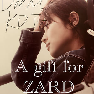 夕阳回声–敬ZARD