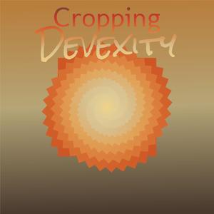 Schuster Clavecinist