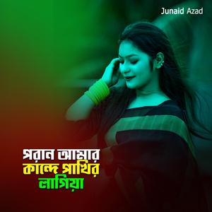 পরান আমার কান্দে পাখির লাগিয়া