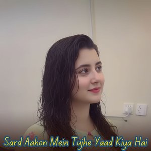 Sard Aahon Mein Tujhe Yaad Kiya Hai