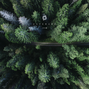 Esperaré