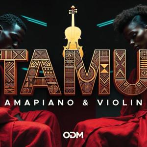 TAMU (Afro Amapiano & Violin)