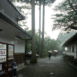 像风一样轻