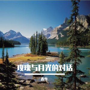 玫瑰与月光的对话