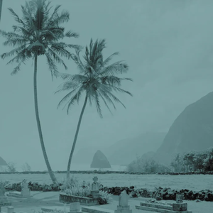 Fog Trap迷雾陷阱