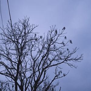 正义（伴奏，Cover 回春丹）