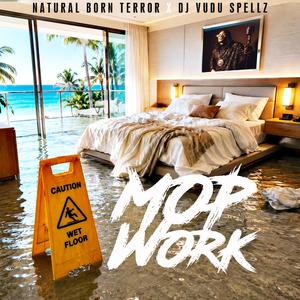 Mop