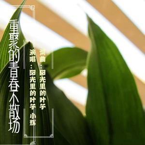 重聚的青春不散场