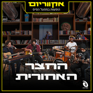 כל האופציות על השולחן - הופעה חיה